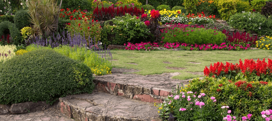 Tips for a Flourishing Spring Garden