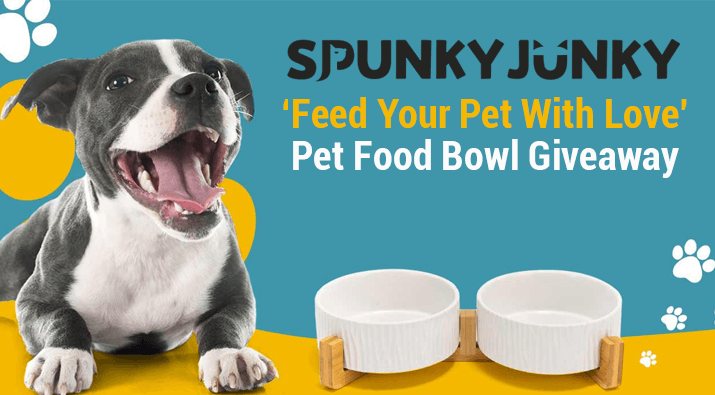 SpunkyJunky Pet Food Bowl Set Giveaway