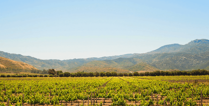 $5000 + Trip To Napa Valley California Giveaway