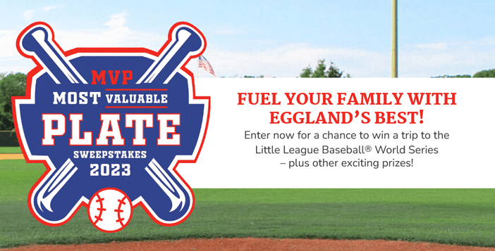 $6k+ Trip To The Little League Baseball World Series Giveaway
