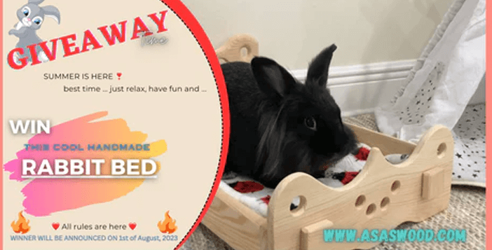 $79 Cute Handmade Wooden Rabbit Bed Giveaway