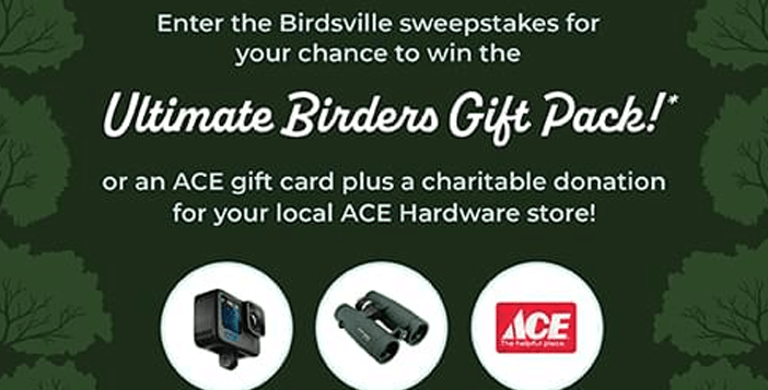 $3,500 Kaytee Birdsville Giveaway