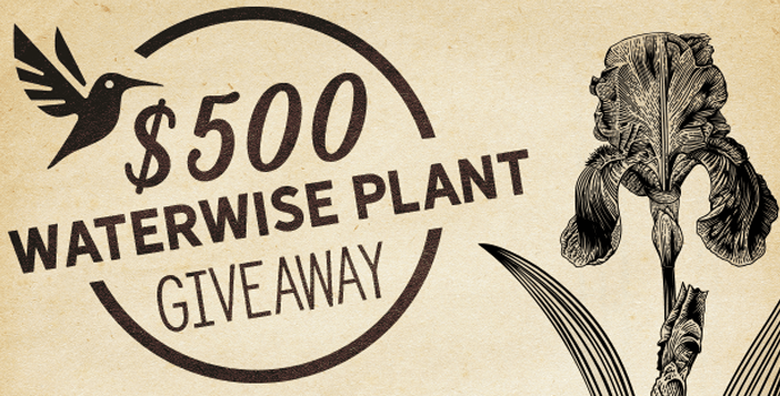 $500 High Country Gardens Gift Card Giveaway