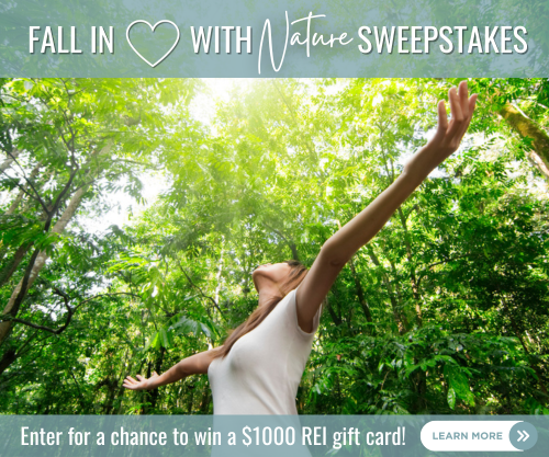 $1,000 REI Gift Card Giveaway