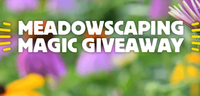 American Meadows Gift Card Giveaway