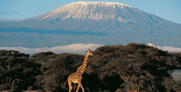 Awesome Trek to Kilimanjaro Tanzania Giveaway