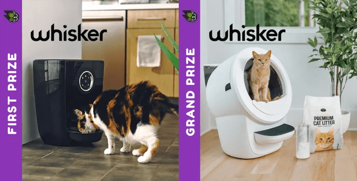 The Ultimate ‘Keep Your Cat Happy’ Giveaway