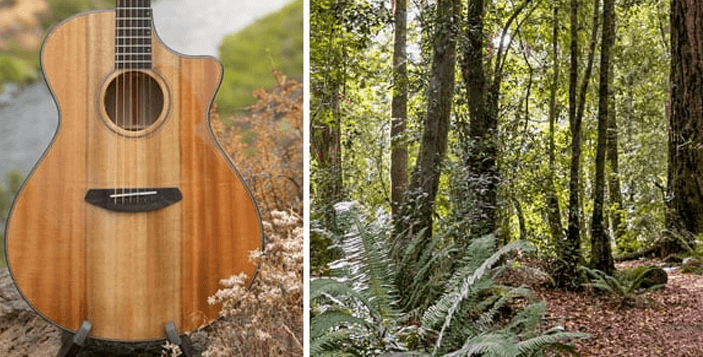 Made-in-Oregon Myrtlewood Acoustic Guitar Giveaway