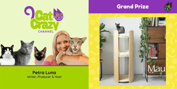 Mau Castillo Cat Tower Giveaway