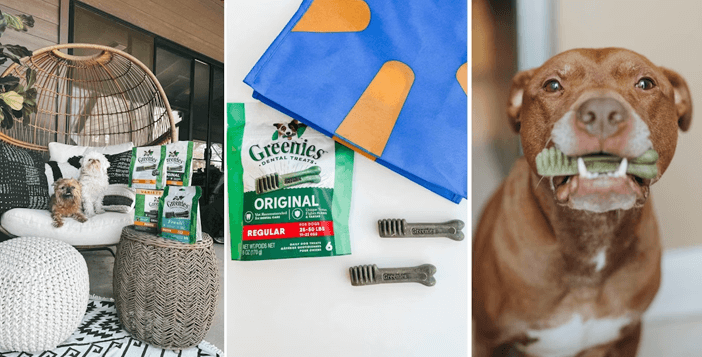 She Speaks Greenies Dental $50 Walmart Gift Card Giveaway