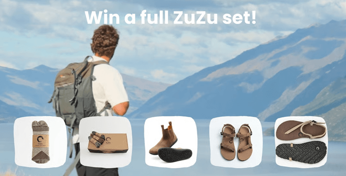 Full ZuZu Set Giveaway