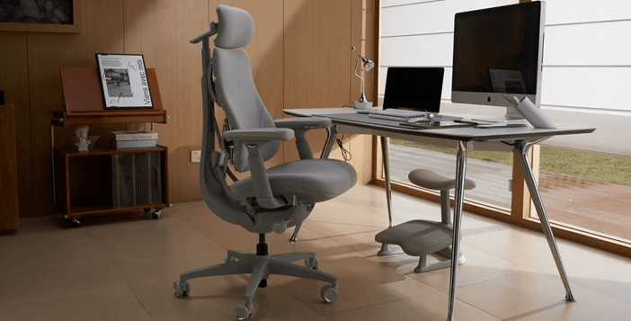 LiberNovo Omni Ergonomic Chair Giveaway